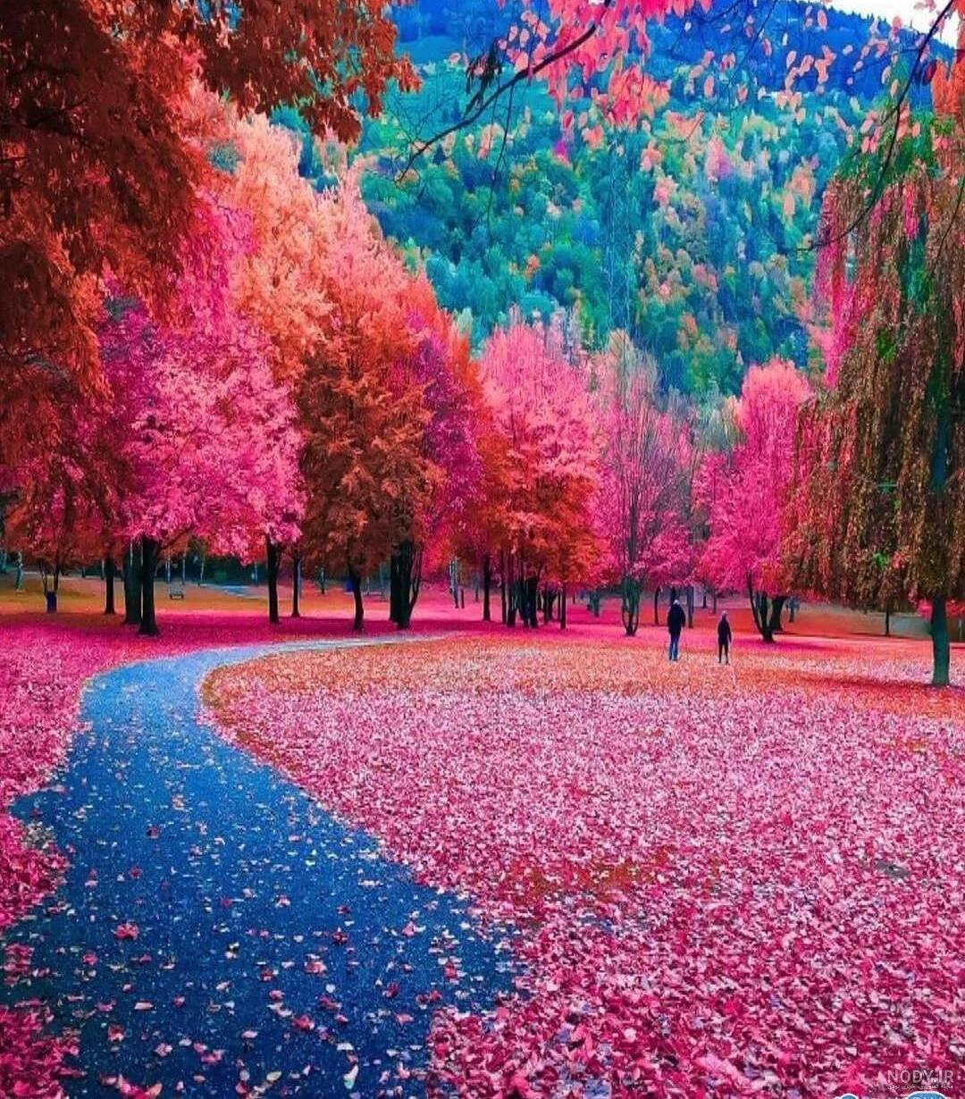 دانلود عکس طبیعت دانلود عکس طبیعت