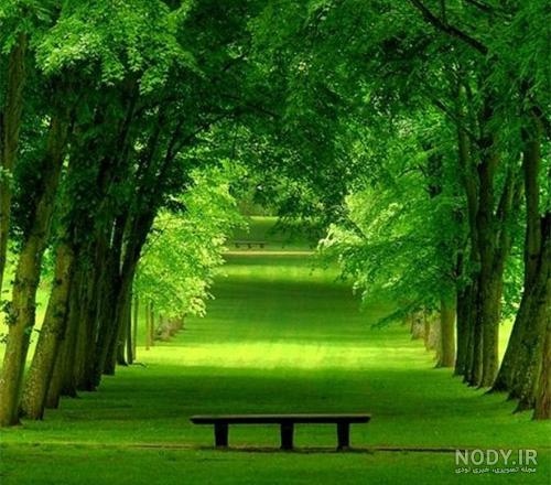 دانلود عکس طبیعت دانلود عکس طبیعت