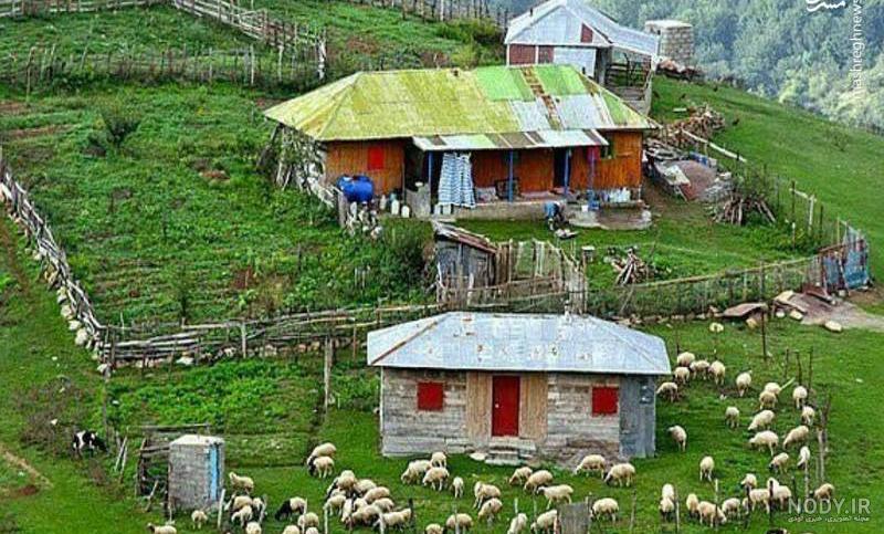 دلم زندگی روستایی میخواد دلم زندگی روستایی میخواد