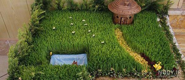 سبزه برنج برای عید سبزه برنج برای عید