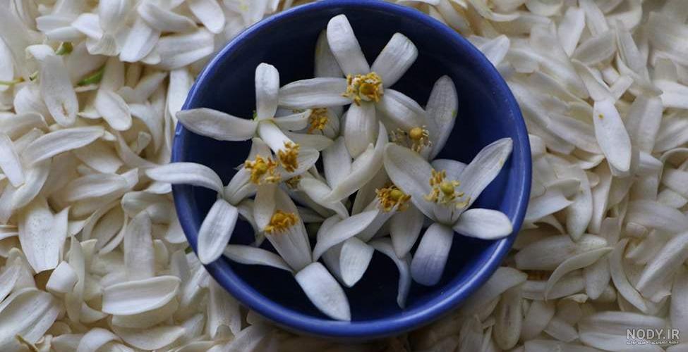 طرز تهیه دمنوش بهارنارنج طرز تهیه دمنوش بهارنارنج