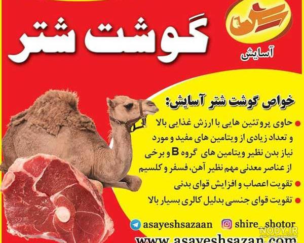 طرز تهیه قلوه شتر طرز تهیه قلوه شتر