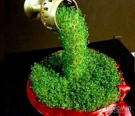 عکس سبزه عید کارتونی عکس سبزه عید کارتونی