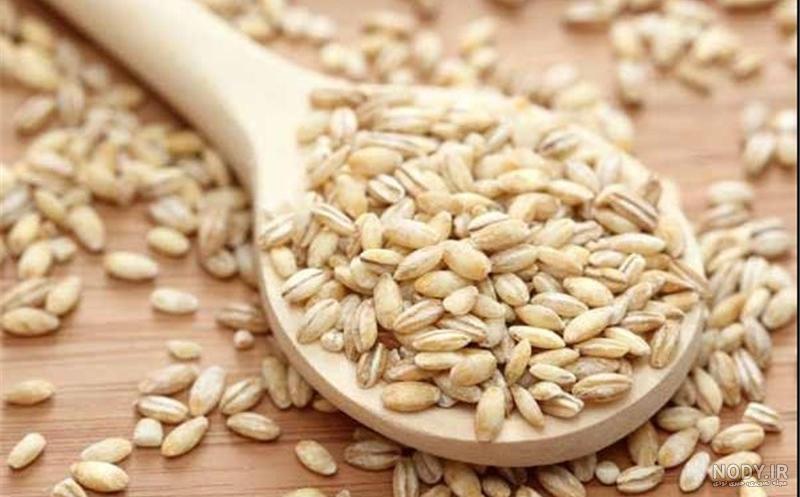 عکس سویق گندم و جو