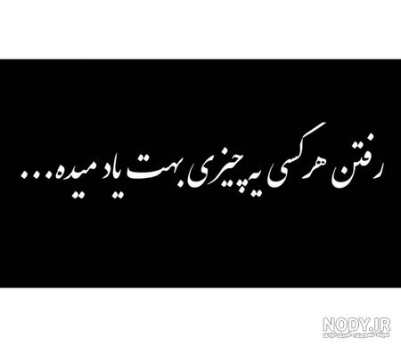 عکس سیاه سفید شاخ عکس سیاه سفید شاخ