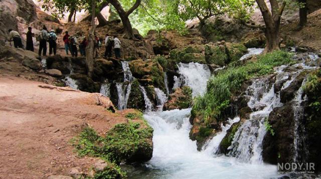 عکس شهدای شهر لردگان