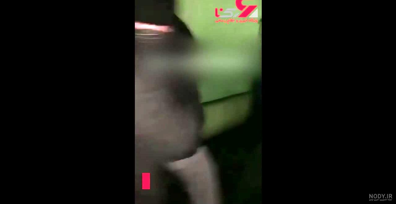 عکس شو کرونای در فرفره های انفجاری