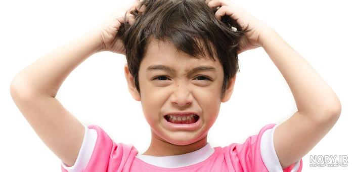 عکس شپش خرگوش عکس شپش خرگوش