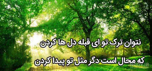 عکس طبیعت با کیفیت بالا عکس طبیعت با کیفیت بالا