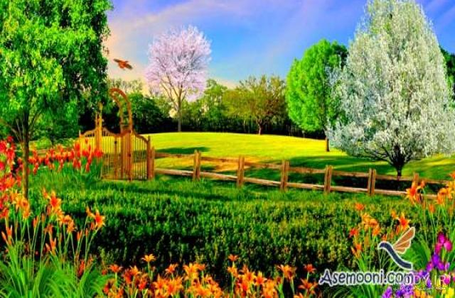 عکس طبیعت واقعی
