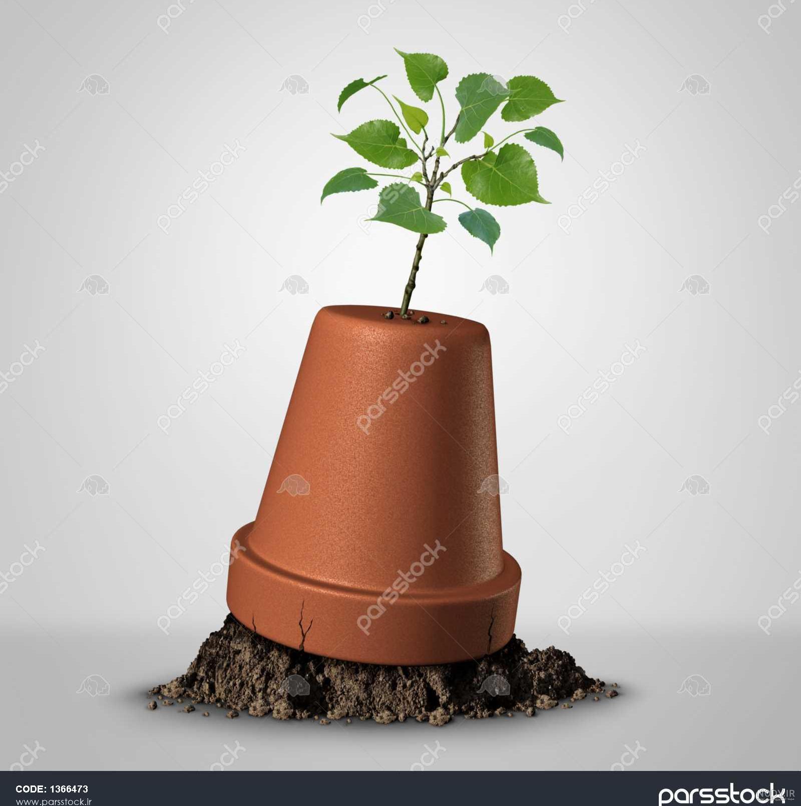 عکس طبیعت واقعی عکس طبیعت واقعی