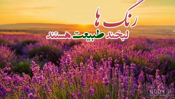 عکس طبیعت واقعی عکس طبیعت واقعی
