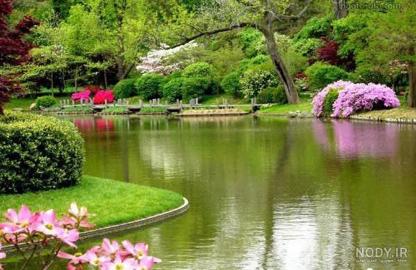 عکس طبیعت واقعی بهار