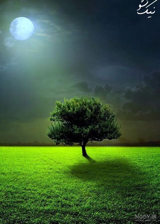 عکس طبیعت واقعی زیبا عکس طبیعت واقعی زیبا