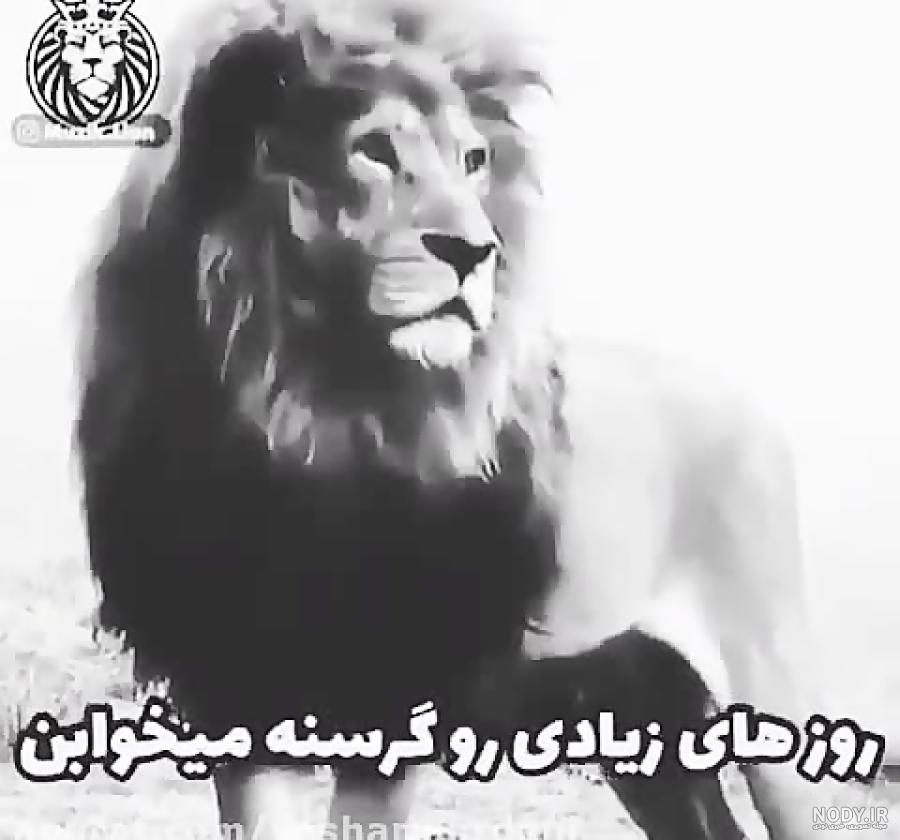 عکس فیلم لات عکس فیلم لات