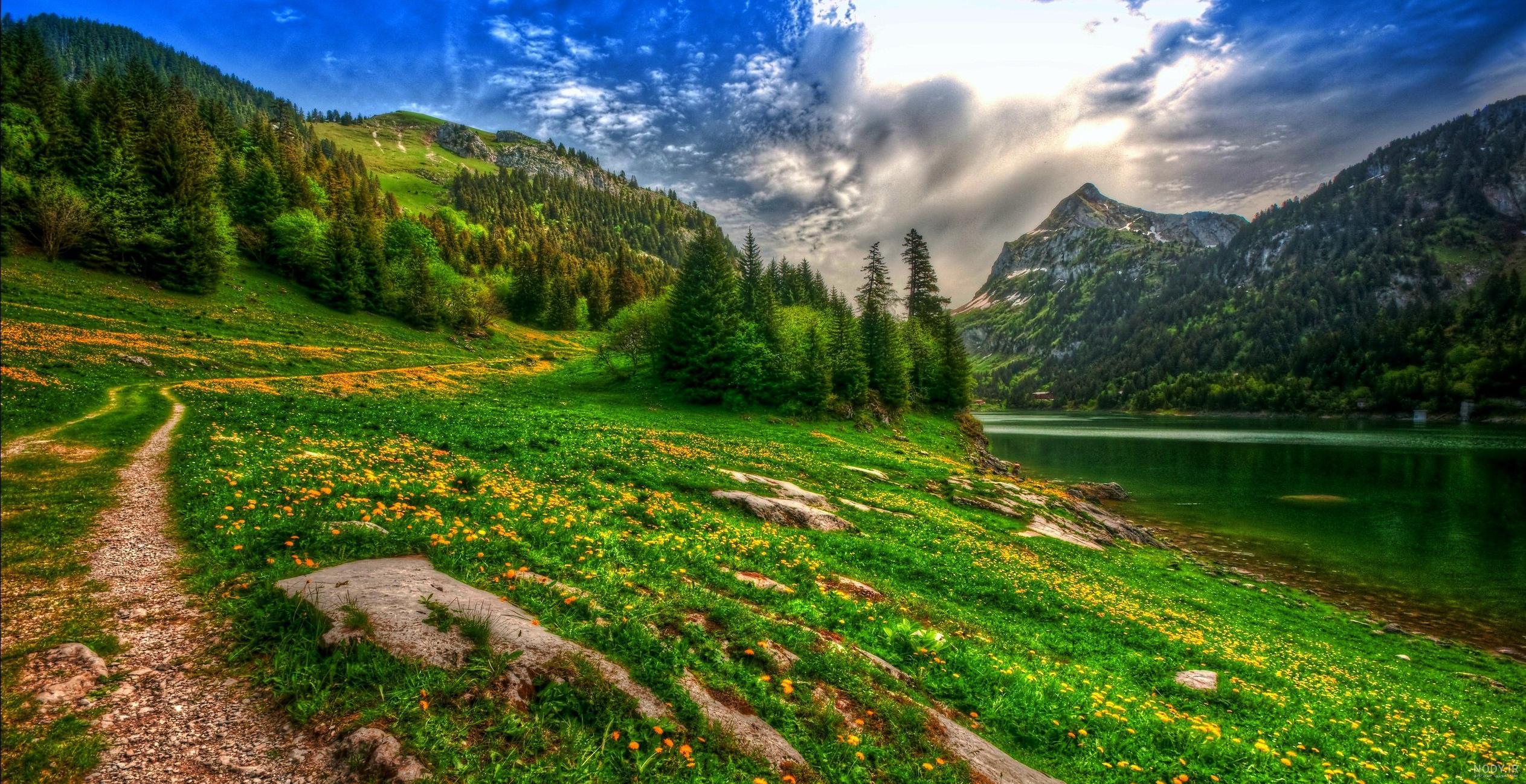 عکس های زیبا برای صفحه موبایل عکس های زیبا برای صفحه موبایل