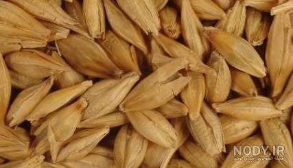 عکس گندم و جو پوست کنده