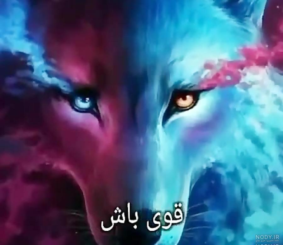 فیلم سینمایی گرگ سیاه فیلم سینمایی گرگ سیاه