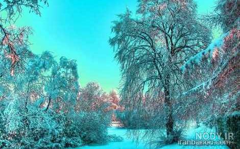 منظره زیبا طبیعی منظره زیبا طبیعی