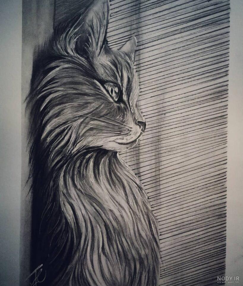 نقاشی گربه واقعی