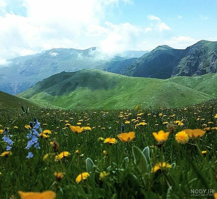 نیارق نیارق