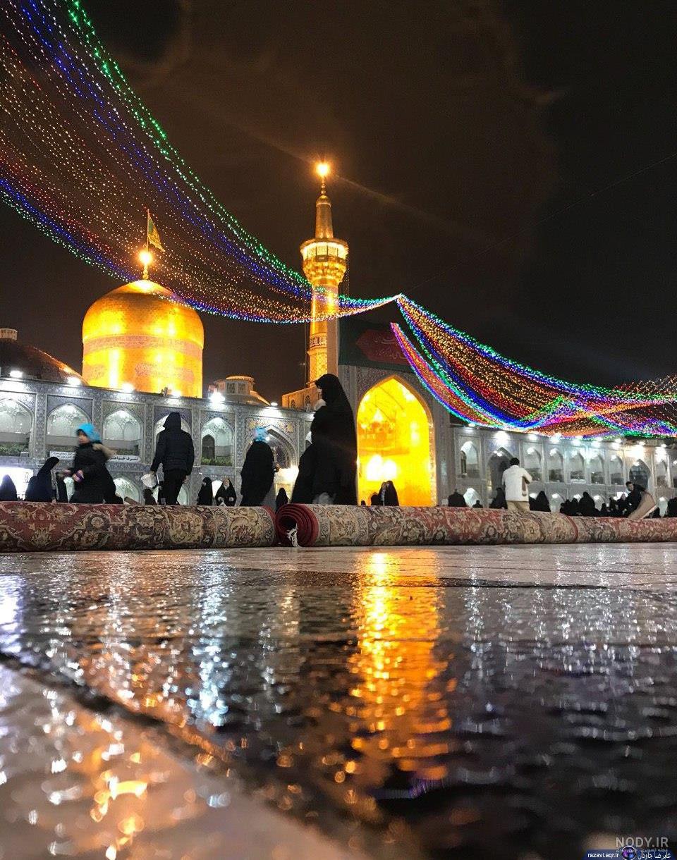عکس حرم امام رضا با کبوتر