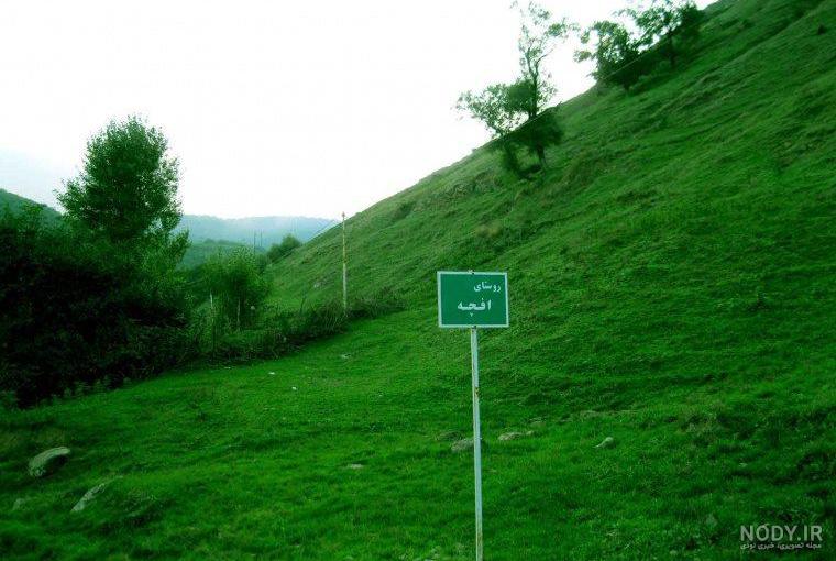 اجاره خانه در روستای افجه اجاره خانه در روستای افجه