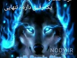 اهنگ روی عکس گرگ اهنگ روی عکس گرگ