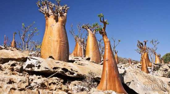 جاهای دیدنی یمن
