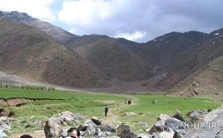 روستای افجه در تابستان روستای افجه در تابستان