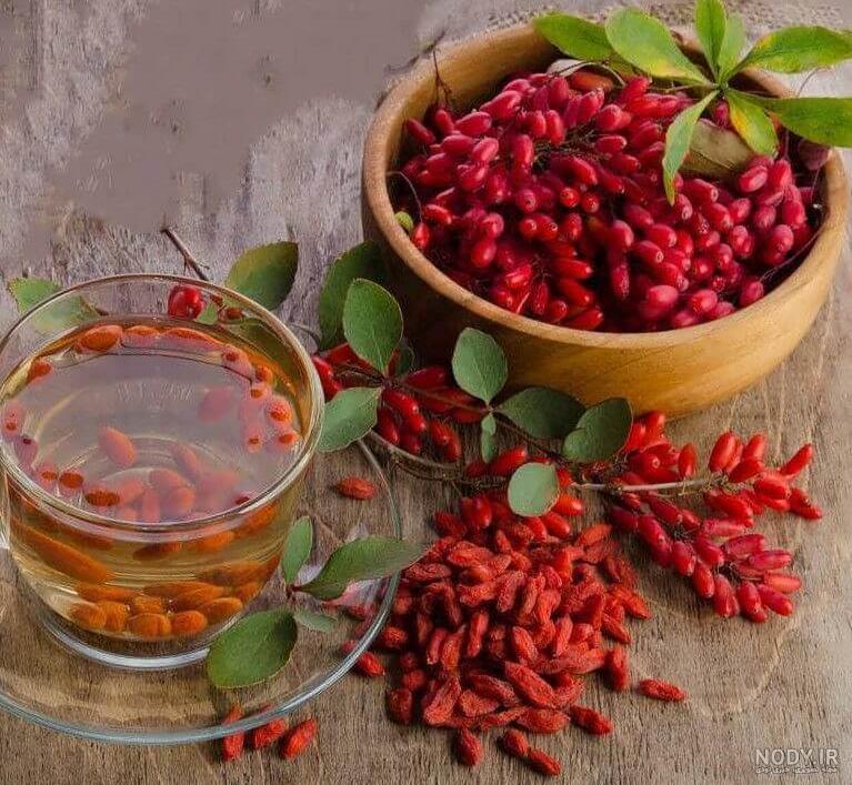 روش تکثیر گل زرشک