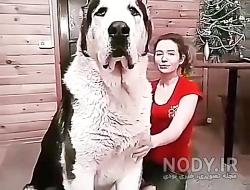 سگ نگهبان نژاد