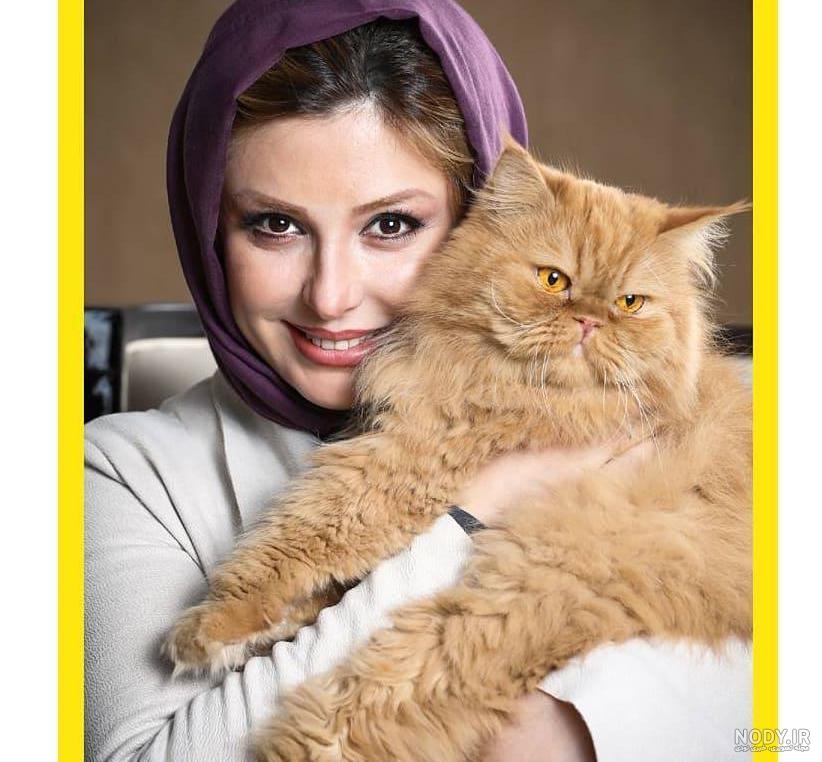 شهر گربه ها ۲ شهر گربه ها ۲