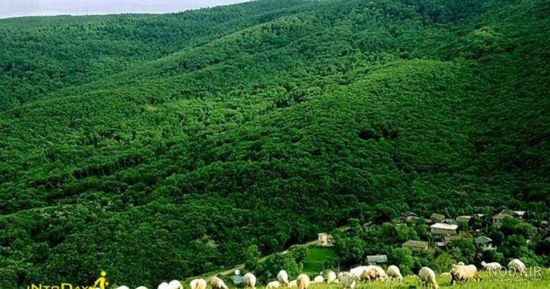 عکس از روستای افجه عکس از روستای افجه