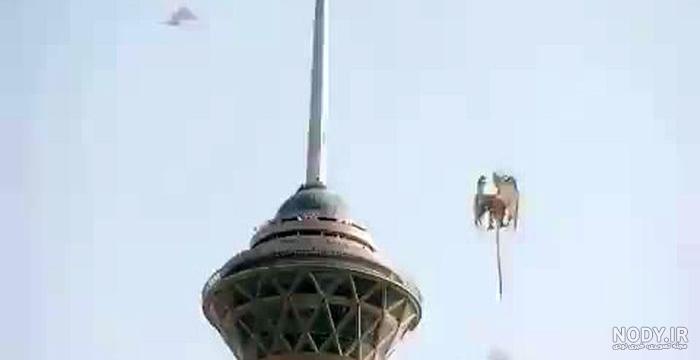 عکس اژدها واقعی در تهران