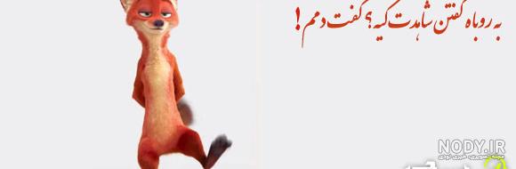 عکس روباه برای پروفایل عکس روباه برای پروفایل