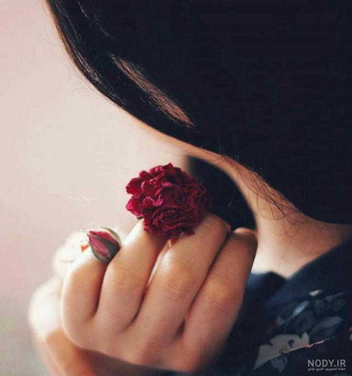 عکس زیبای طبیعت