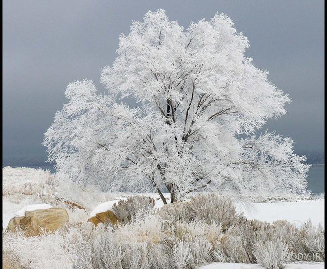 عکس زیبای طبیعت زمستانی اروپا