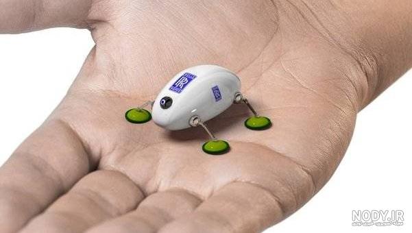 عکس سوسک مار