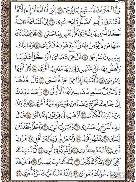 عکس صفحه ۳۱۳ قرآن کریم