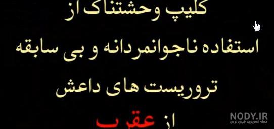عکس عقرب زرد عکس عقرب زرد