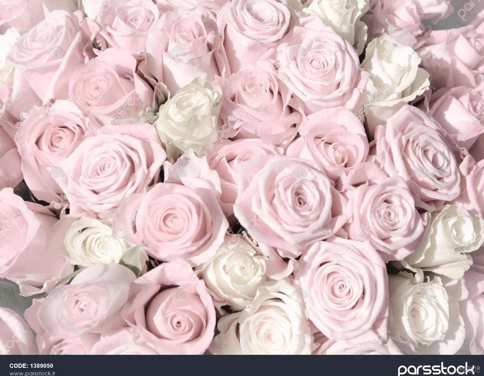 عکس قلب برای پروفایل تلگرام