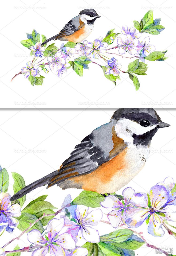 عکس نقاشی آبرنگ دخترانه