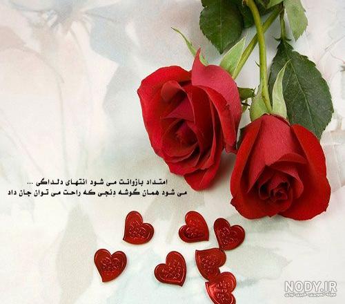 عکس نوشته گل رز آبی عکس نوشته گل رز آبی