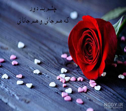 عکس نوشته گل رز سفید عکس نوشته گل رز سفید