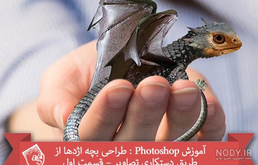 عکس واقعی مثلث اژدها