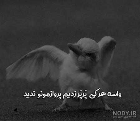 عکس پسرانه فیک عکس پسرانه فیک