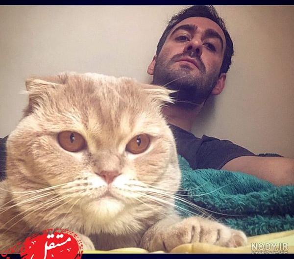 عکس گربه بامزه و پشمالو