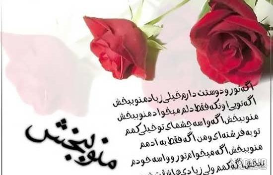 عکس گل رز قرمز و آبی عکس گل رز قرمز و آبی