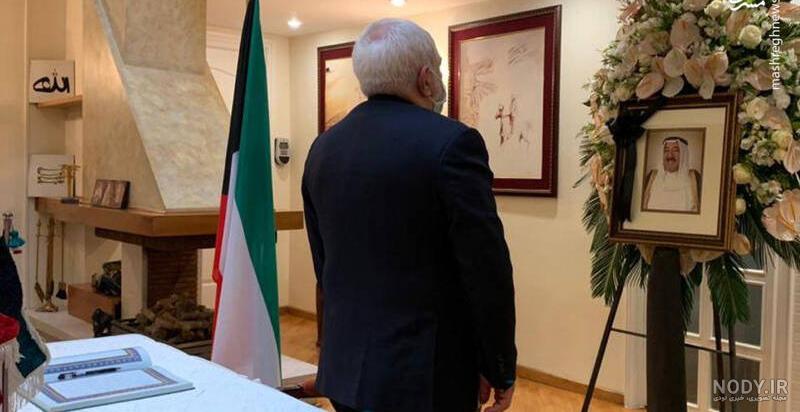 عکس گل زیبا